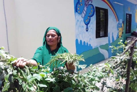 Children will eat fresh vegetables in Nand houses