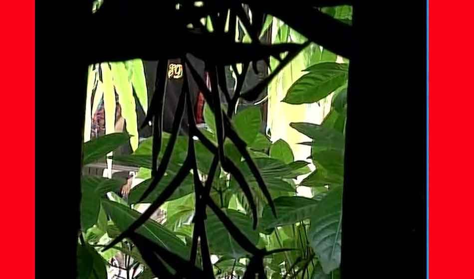 ED raid on Misa Bharti property at 3 locations in Delhi and its real cost