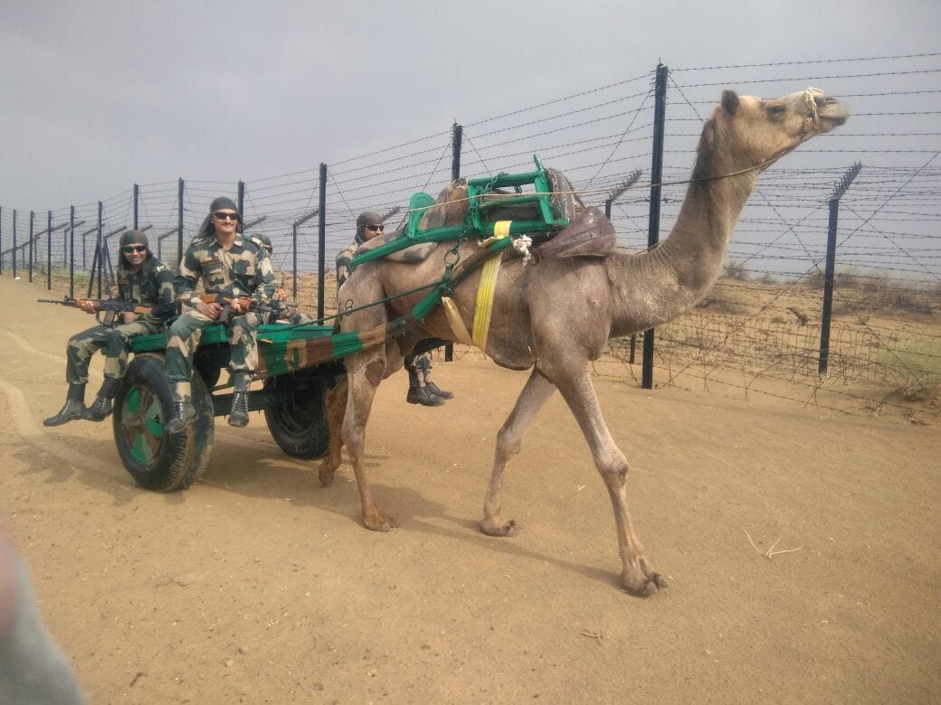 bsf to secure borders with camel cars 