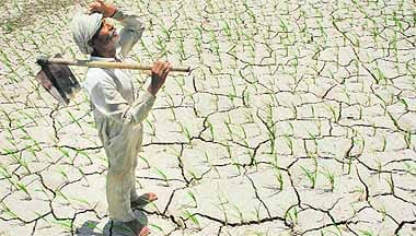 rajasthan waits for rainfall as monsoon disappear in second week of its arrival 