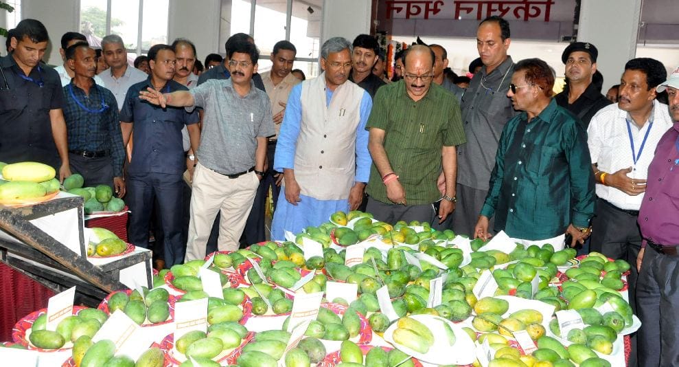 mango fair held in dehradun