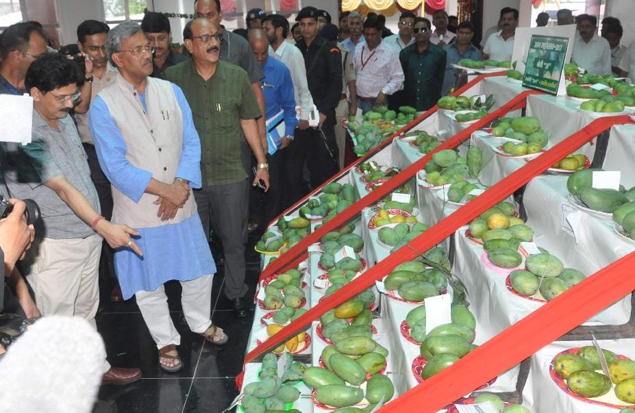 mango fair held in dehradun