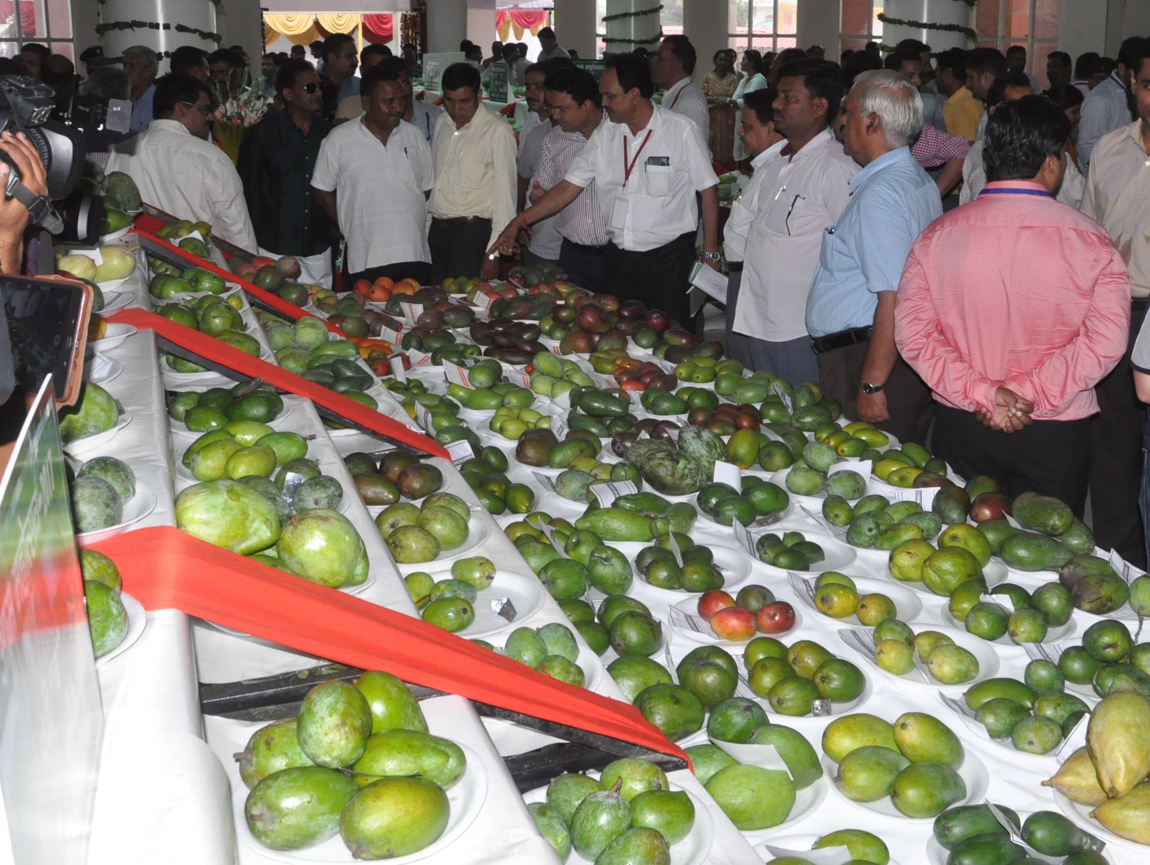 mango fair held in dehradun