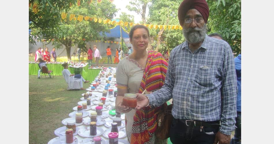 Mango fair: 11 thousand tourists reaching the first day