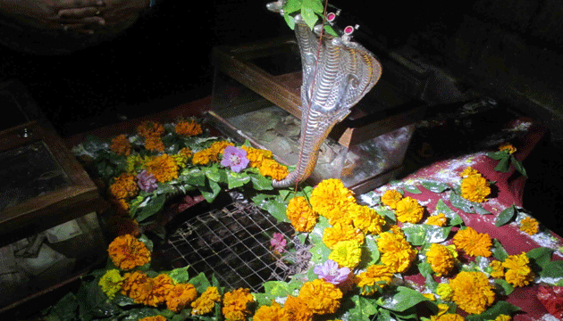 unique temple in mount abu