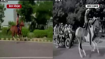 A viral video of horse racing at noida expressway
