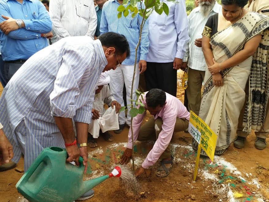 plantation in alwar and jaisalmer