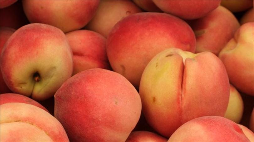 Rajgarh peach in Delhi Fruit Mandi.