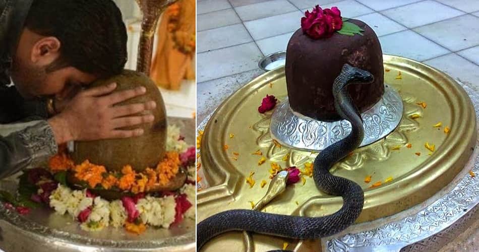 sawan 2017, unique temple of lord shiva in india