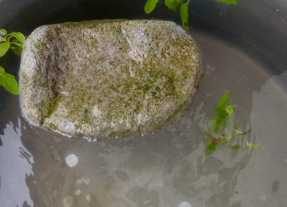 ram setu stone mystery shocked peoples