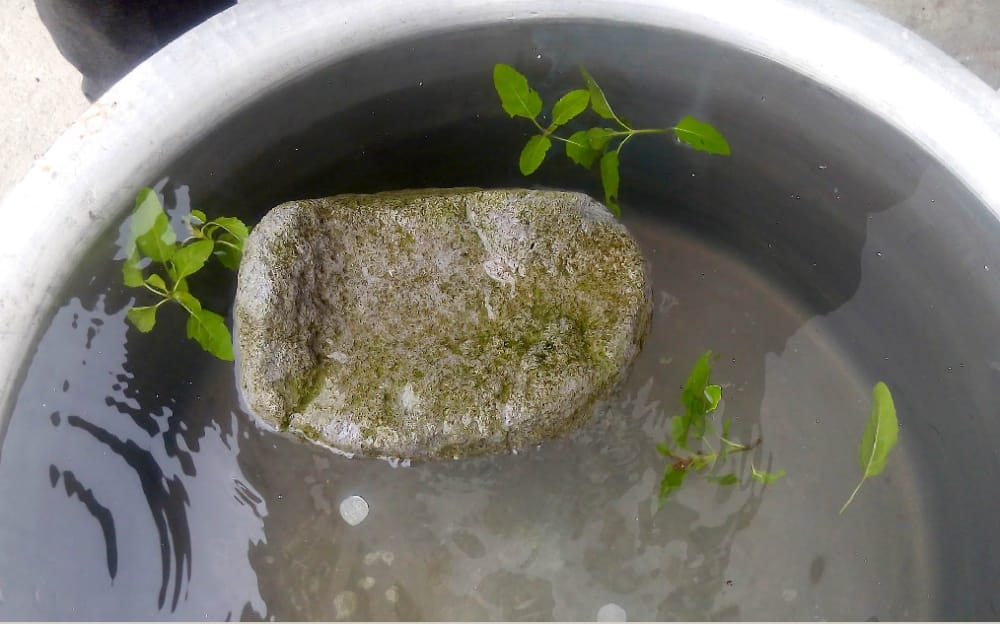 mysterious stone of Ram Setu found in uttarakhand