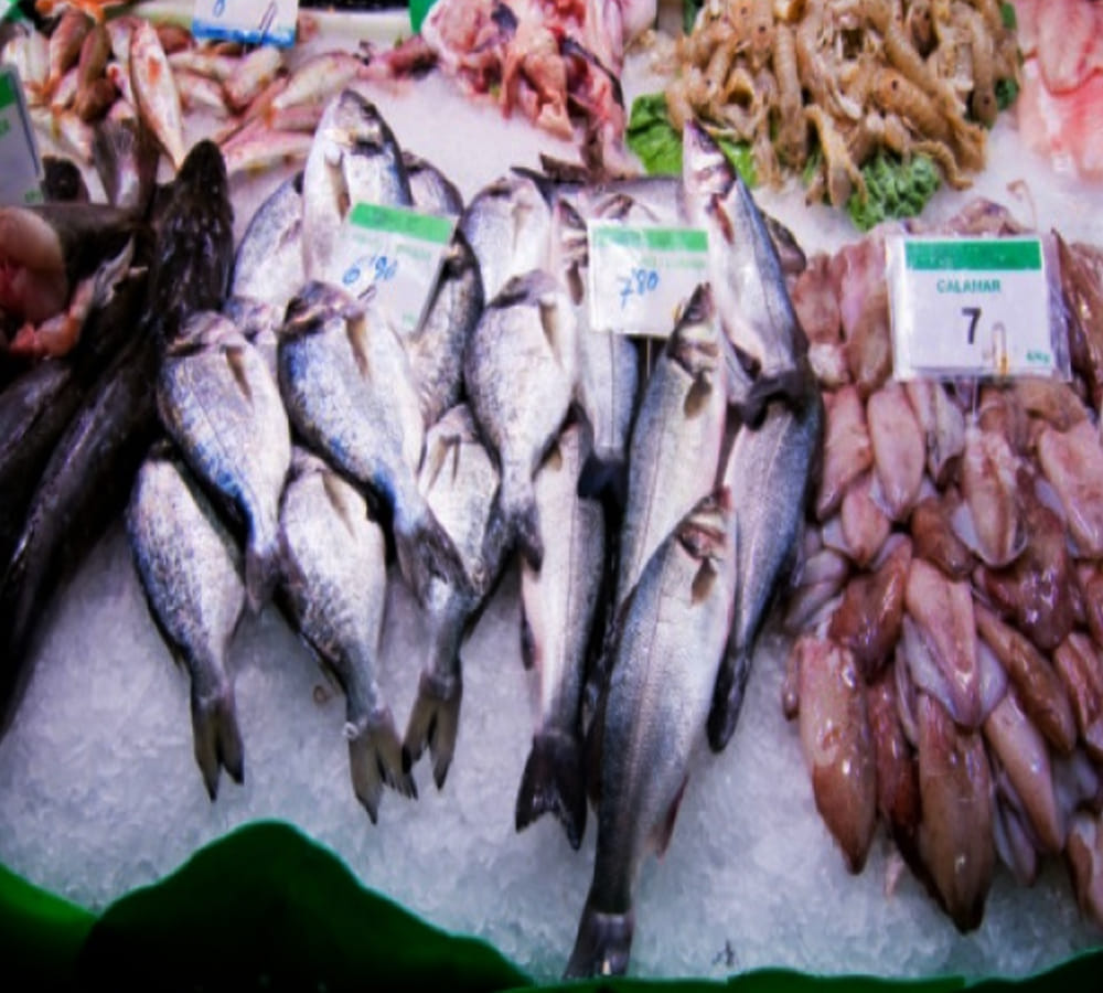  Eating fish in rainy season can make you ill