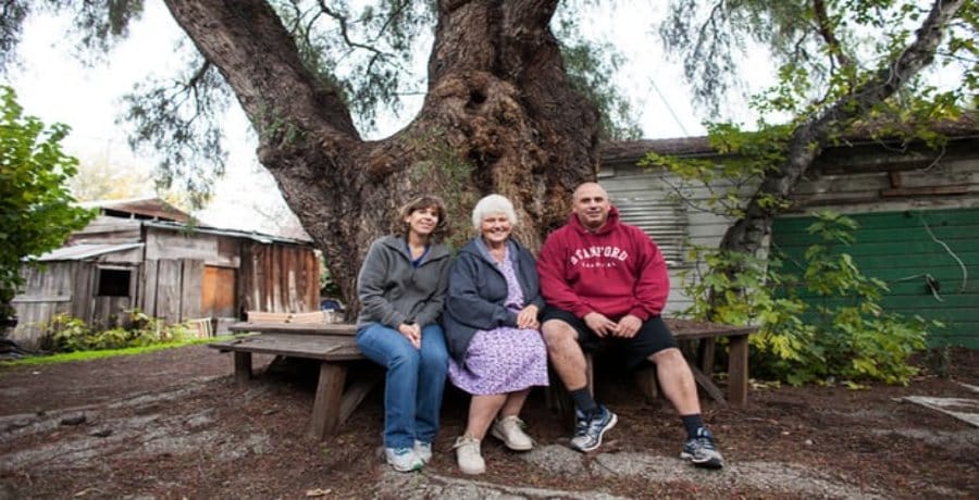 Tech giant Google's to buy farm for millions, Family resists