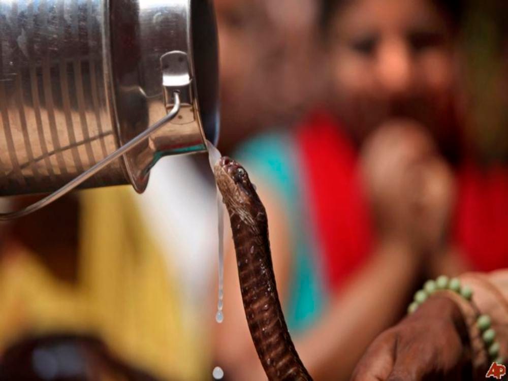 auspicious time for nag panchami worship