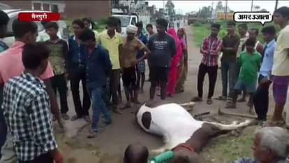 TWO BIKE RIDER DIED DURING AN ACCIDENT IN MAINPURI