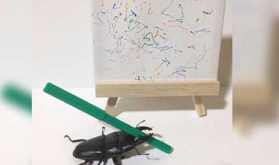 Meet Spike The Beetle Which Loves To Draw Art And   Popular On Social Media