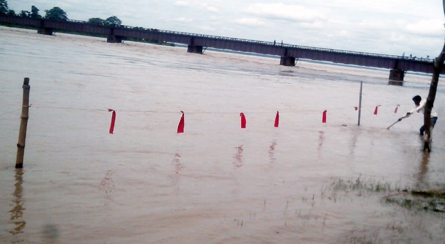  Sharda, from Bambasa Water released with left water