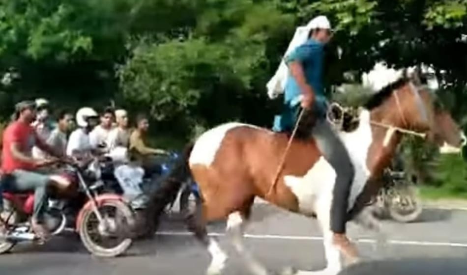  police arrested two persons for allegedly horse raceing in noida expressway