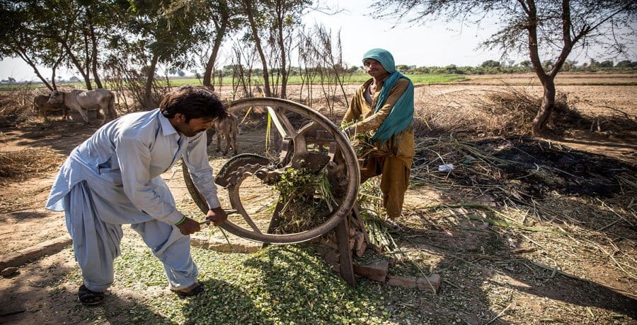 The horror of bonded labour in Azad Nagar of Pakistan