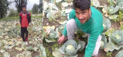 farmers facing problems cannot get prices for crops
