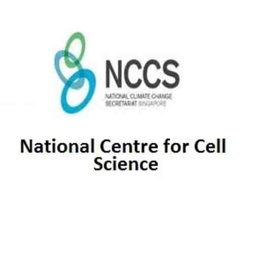 job vacancies for 10th passed in nccs 90000 salary
