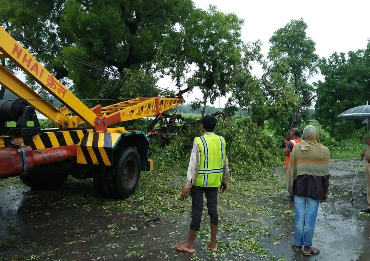 बारिश से पेड़ गिरा, चार घंटे जाम रहा हाईवे