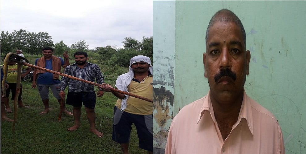 Nagin wanted to take revenge from the farmer, villagers already killed