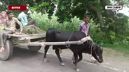 List of farmers coming under the purview of Debt Waiver in Baghpat