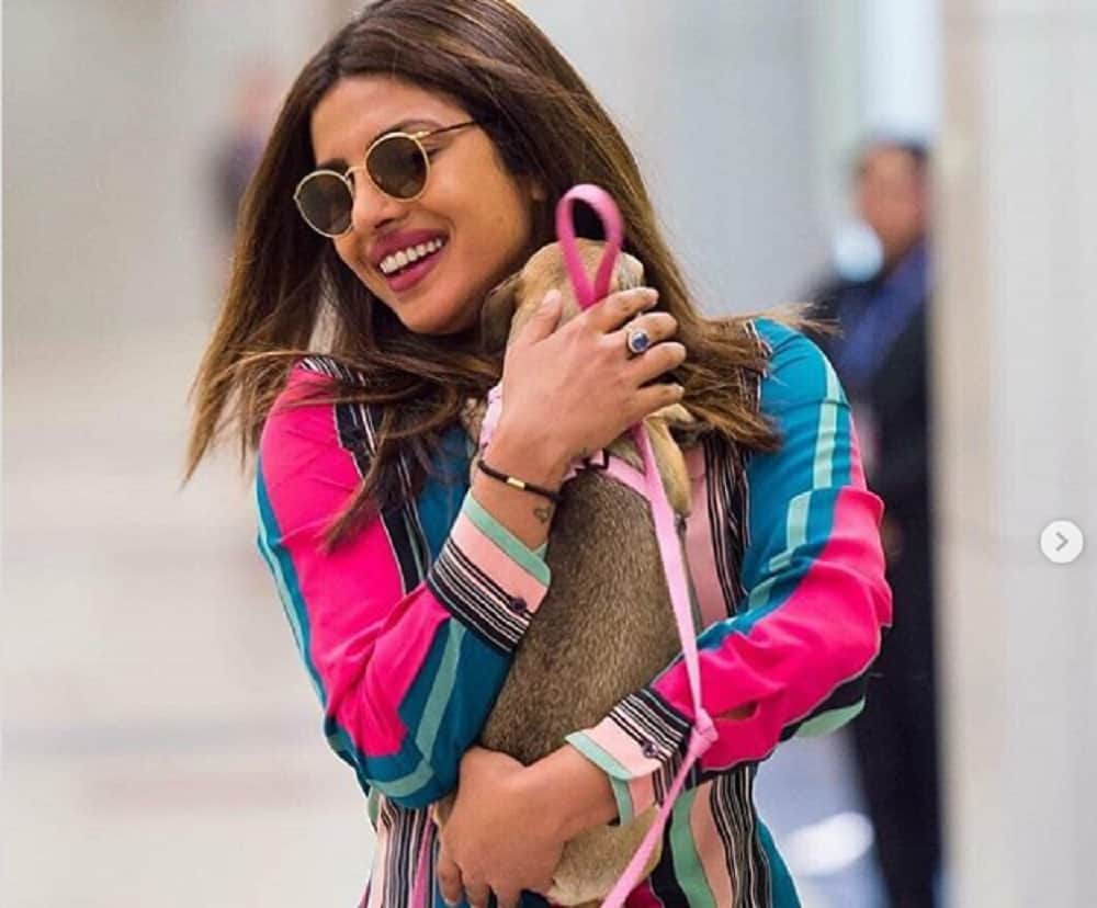  you never heared about Priyanka Chopra love