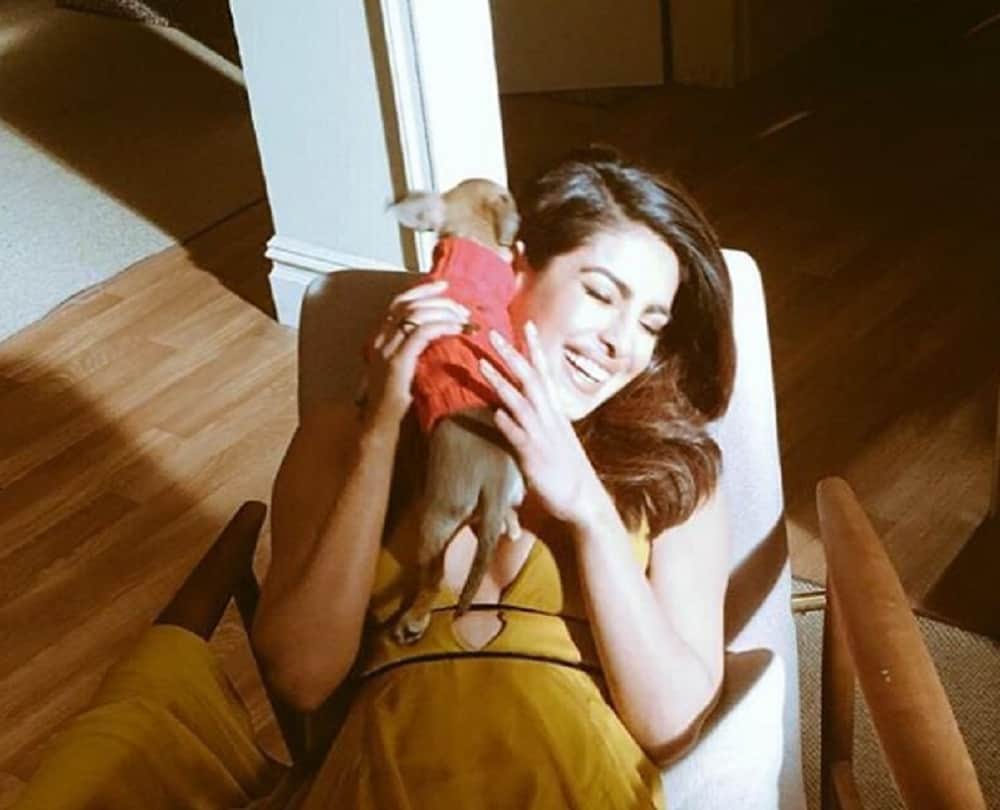  you never heared about Priyanka Chopra love
