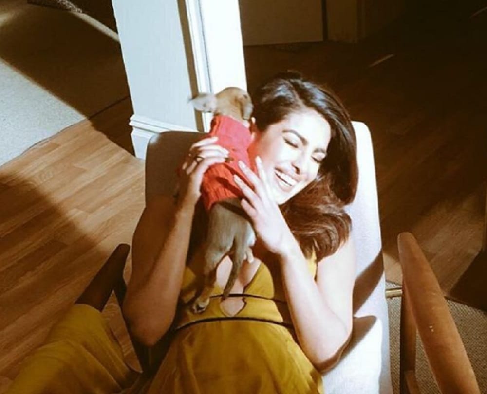  you never heared about Priyanka Chopra love