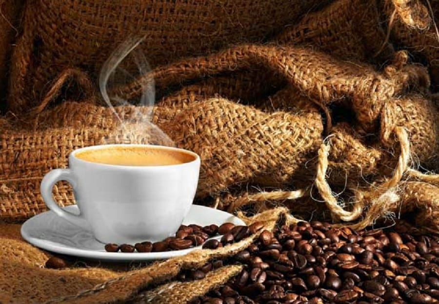 Him Pure Coffee CSIR Palampur Himachal Pradesh