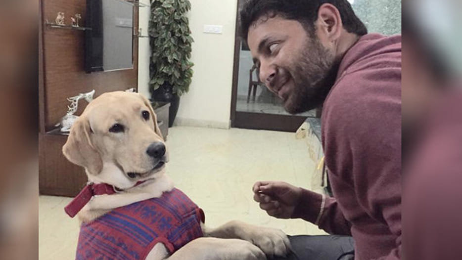 If you are keeping dog you are rich