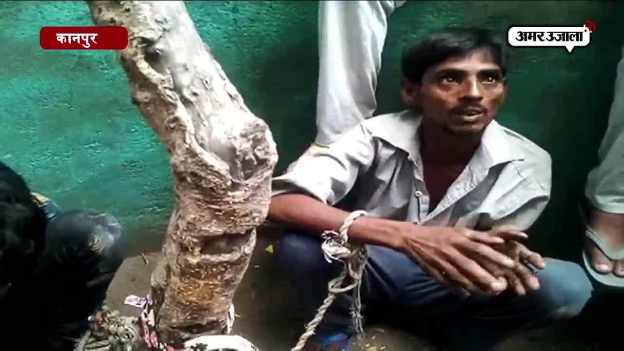 कानपुर, क्राइम