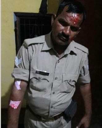 Pets on police in Toda