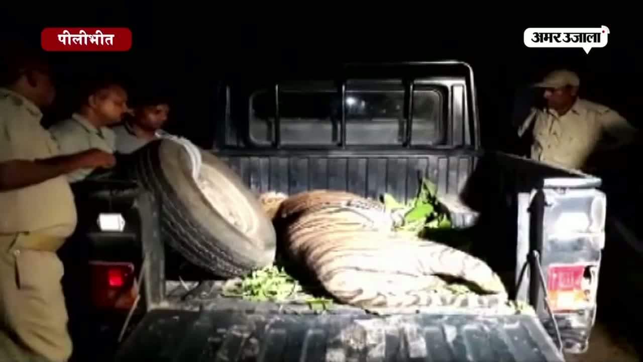 पीलीभीत