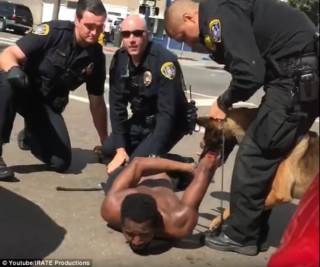 Police left the dog with with wearing a handcuff