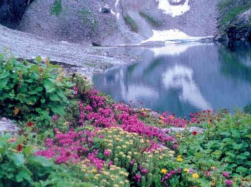 Brahmakamal in hemkund sahib and valley of flower