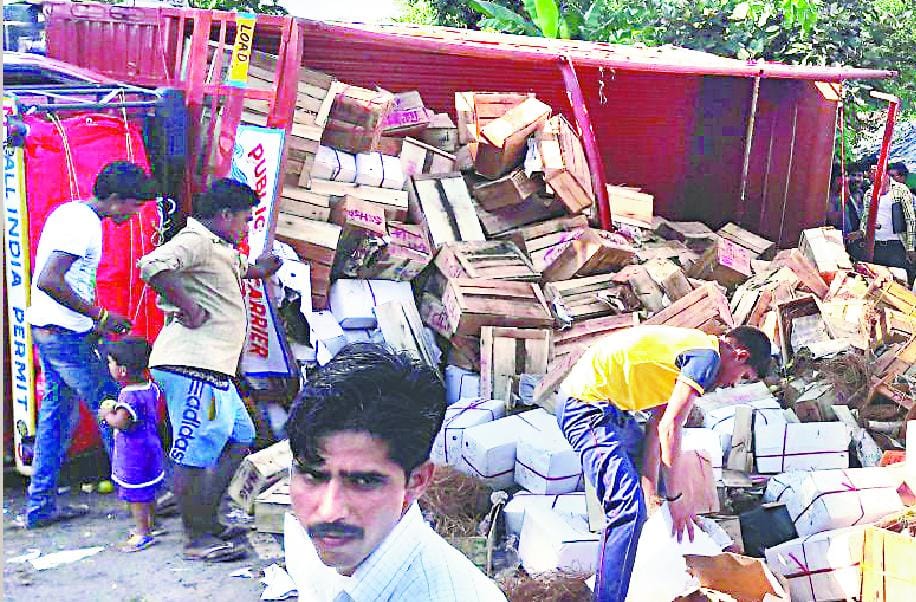 Canter reflex filled with fruit, looted on the highway