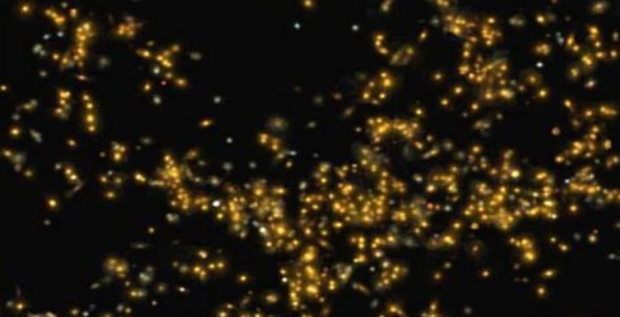 Indian astronomers claim discover galaxy ‘Saraswati’ in universe