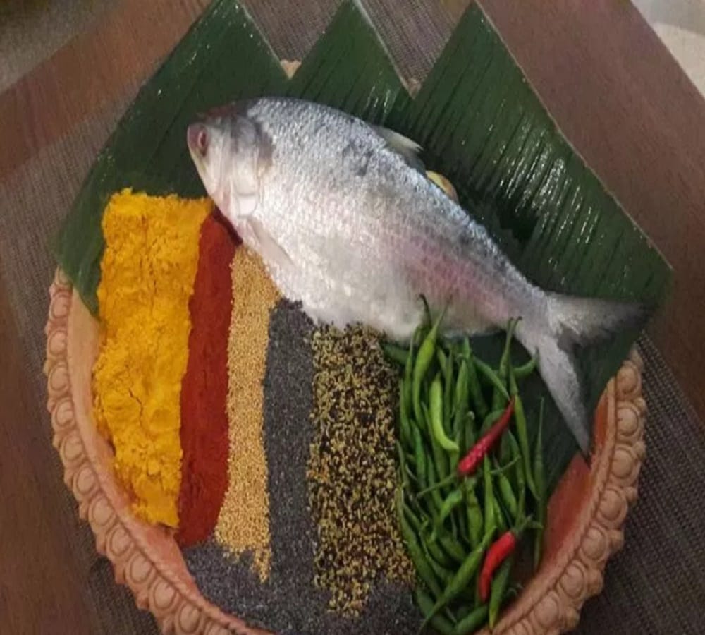 In monsoon season hilsa fish will increase Bengali’s flavour  