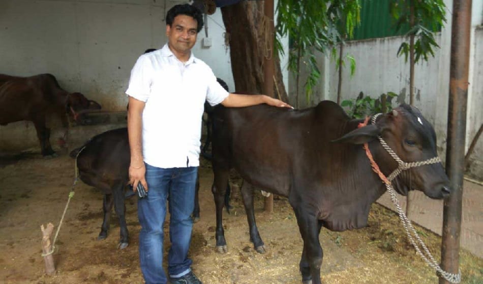  AAP sacked minister kapil mishra hardly found auto for his cows in delhi