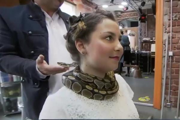 You need to have an appointment to get massage by this python named monty