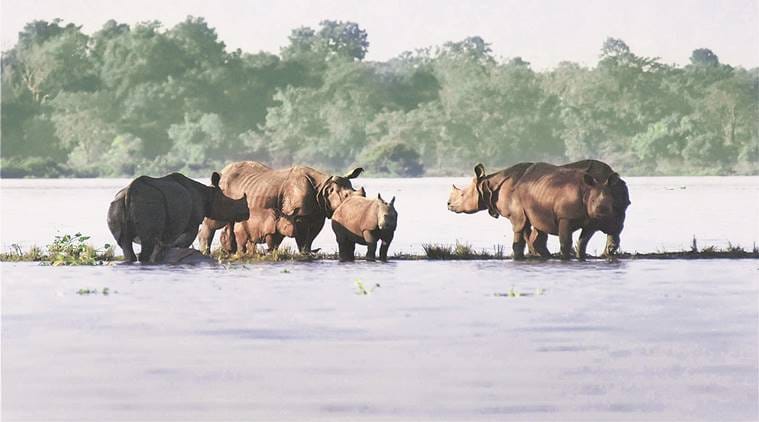 Photos that show the fatal nature Of the floods in assam 