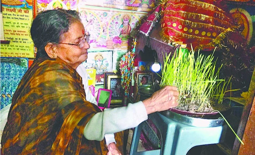 The festival of rainy season and nature's preservation is green