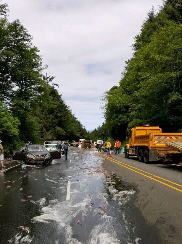  hagfish spill in Oregon america covers highway in slime