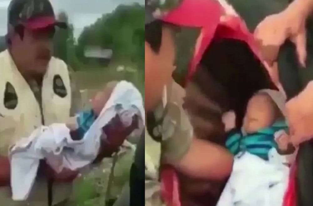 watch how newborn child kept inside dead animal stomach  