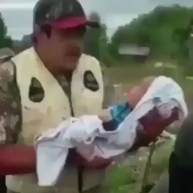 watch how newborn child kept inside dead animal stomach  