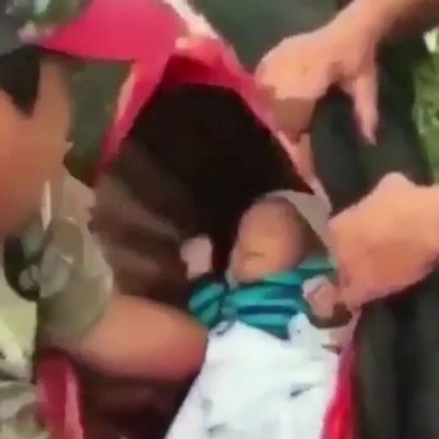 watch how newborn child kept inside dead animal stomach  
