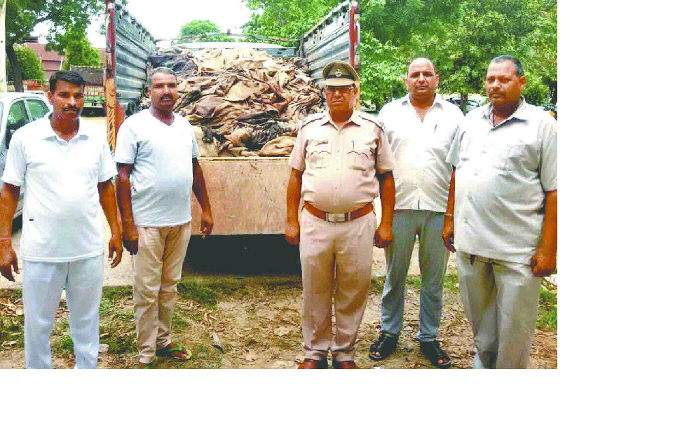181 cow's skins recovered by police from Gautaskar's house